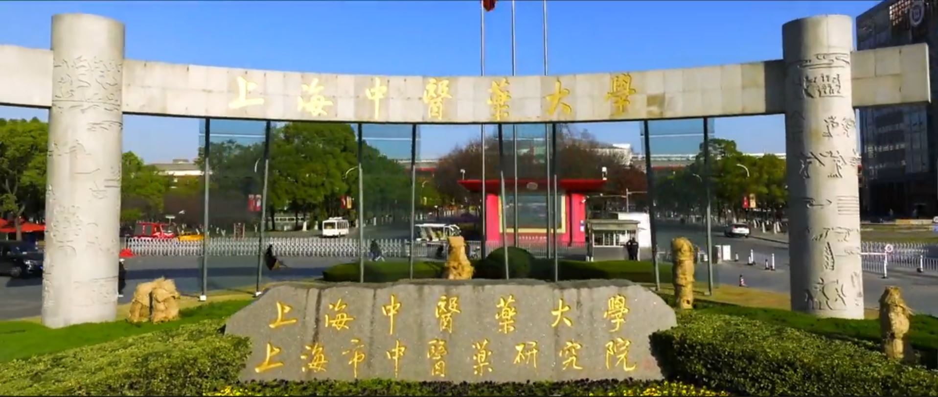 劇レア　中医学　漢方　上海中医薬大学通信教育テキスト　ビデオ　生薬サンプル　貴重 中医学科 - 新・上海中医薬大学附属日本校