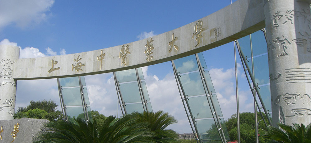 劇レア　中医学　漢方　上海中医薬大学通信教育テキスト　ビデオ　生薬サンプル　貴重 中医学講座 中医学実践コース | 東西中医アロマスクール